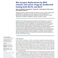 Bim escapes displacement by BH3-mimetic anti-cancer drugs by double-bolt locking both Bcl-XL and Bcl-2